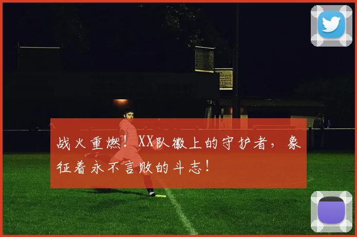 战火重燃！XX队徽上的守护者，象征着永不言败的斗志！